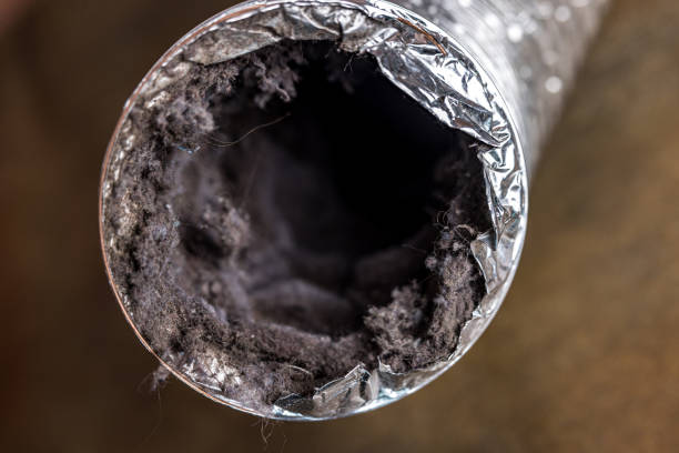 Best Air Duct Sanitizing Services  in Baldwin, MI