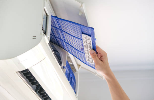 Best Affordable HVAC Duct Cleaning  in Baldwin, MI