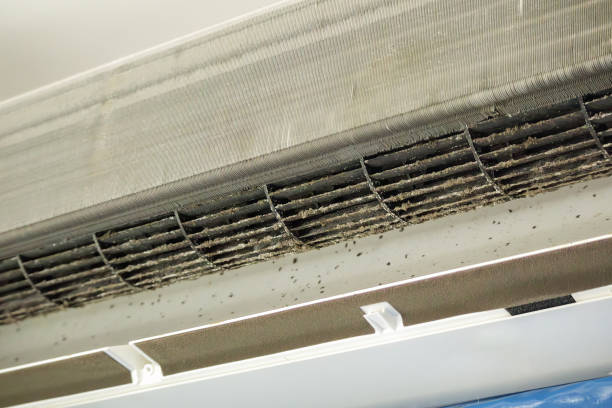 Best HVAC Duct Inspection Services  in Baldwin, MI
