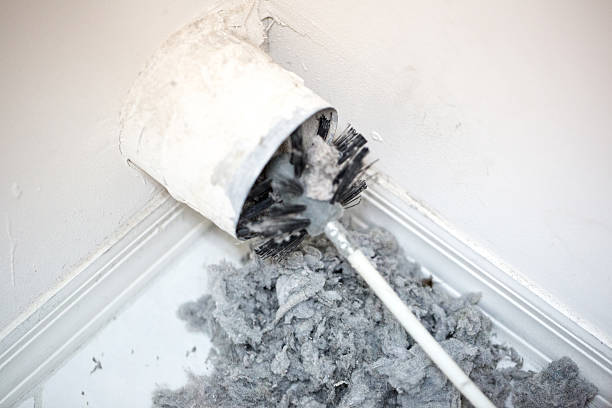 Best Air Duct Inspection  in Baldwin, MI